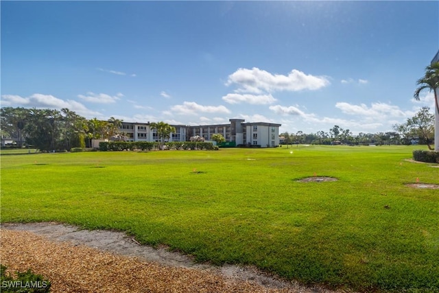 view of community with a lawn