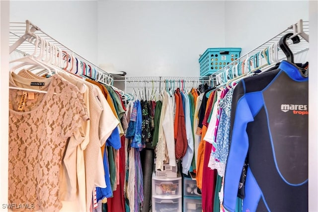 view of spacious closet