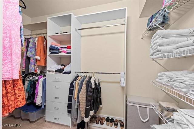 spacious closet with carpet flooring