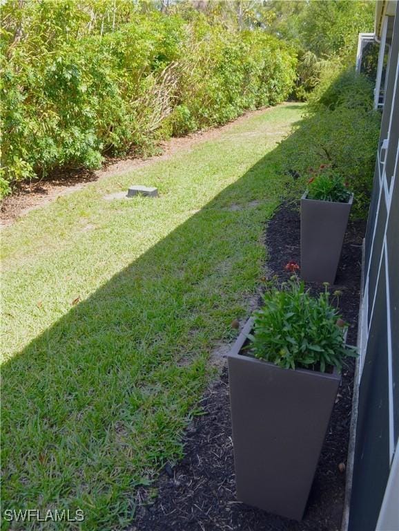 view of yard