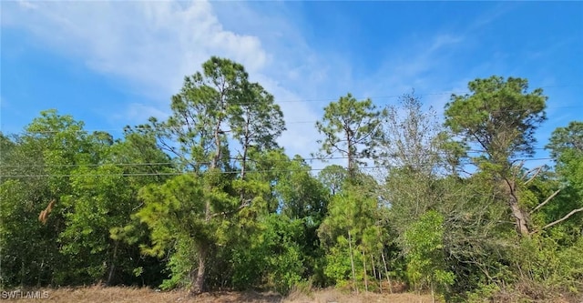 4306 2nd St SW, Lehigh Acres FL, 33976 land for sale