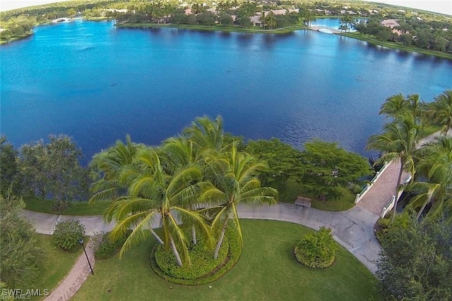 bird's eye view with a water view