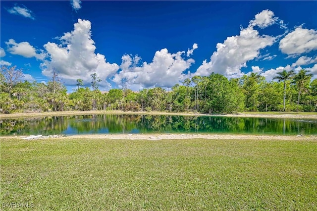 view of community with a water view and a yard