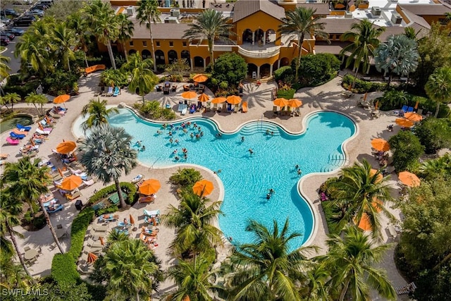 view of pool with a patio