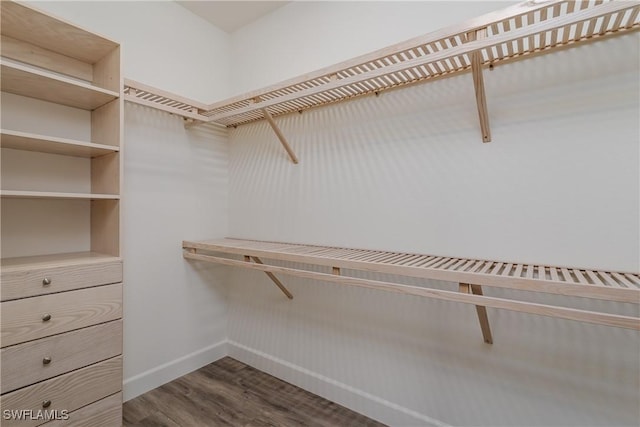 walk in closet featuring dark wood-style floors