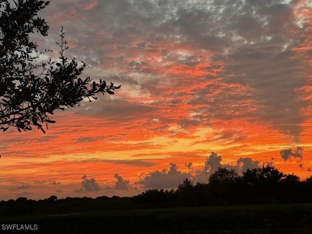 view of nature at dusk