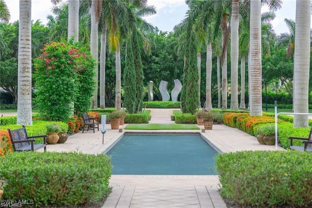 view of swimming pool featuring a patio