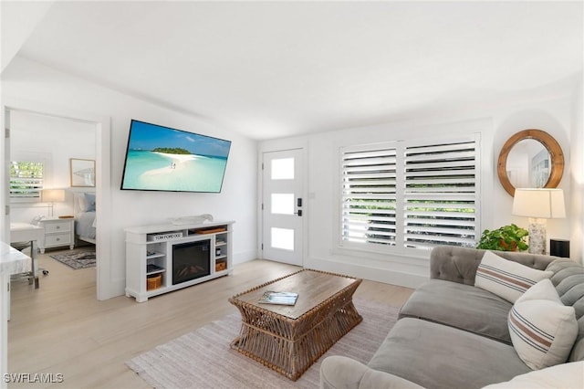 living area featuring wood finished floors