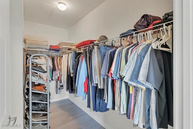 walk in closet featuring wood finished floors