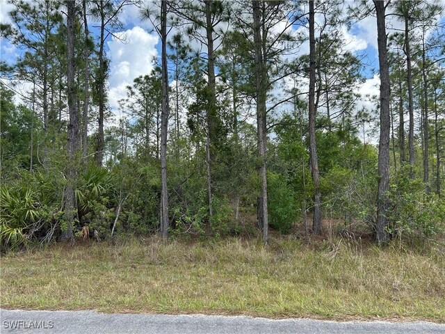 1847 Lindenwood Dr, Lehigh Acres, FL 33972 - photo 1