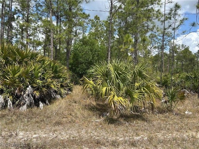 1847 Lindenwood Dr, Lehigh Acres, FL 33972 - photo 2