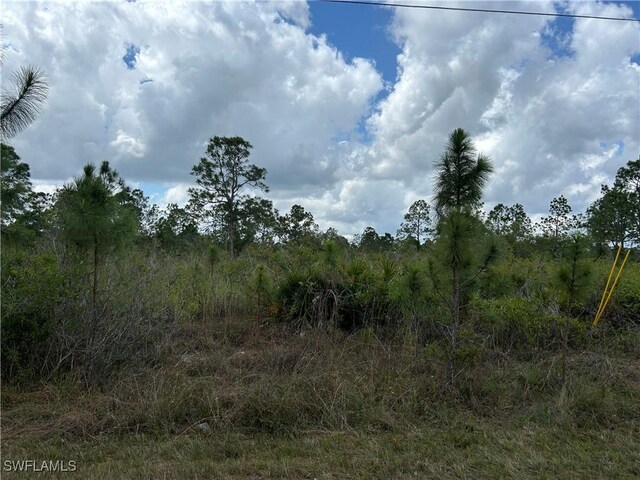1847 Lindenwood Dr, Lehigh Acres, FL 33972 - photo 3