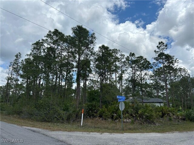 1847 Lindenwood Dr, Lehigh Acres, FL 33972 - photo 5