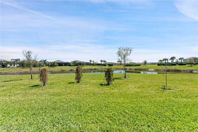 view of yard with a water view