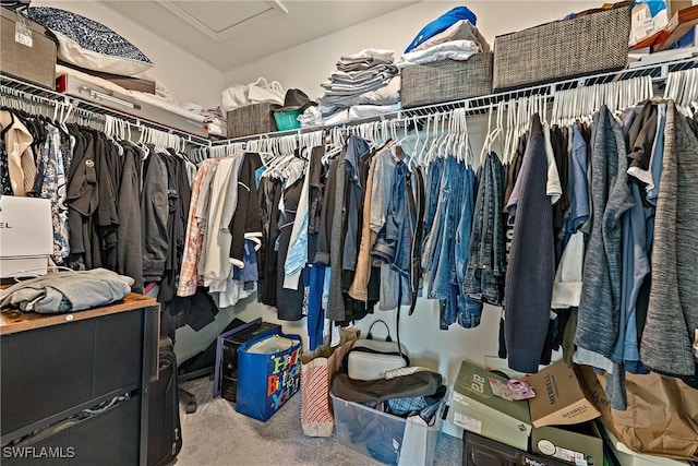 walk in closet featuring attic access and carpet flooring