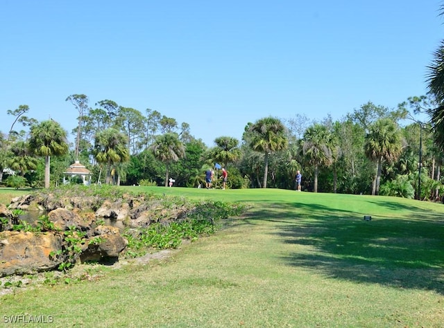 view of property's community with a yard