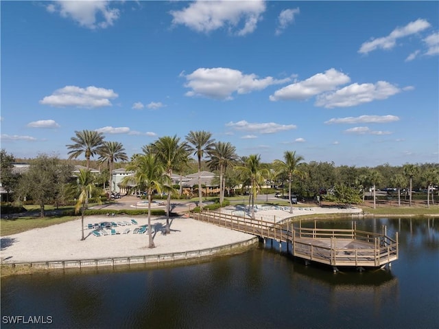 dock area with a water view