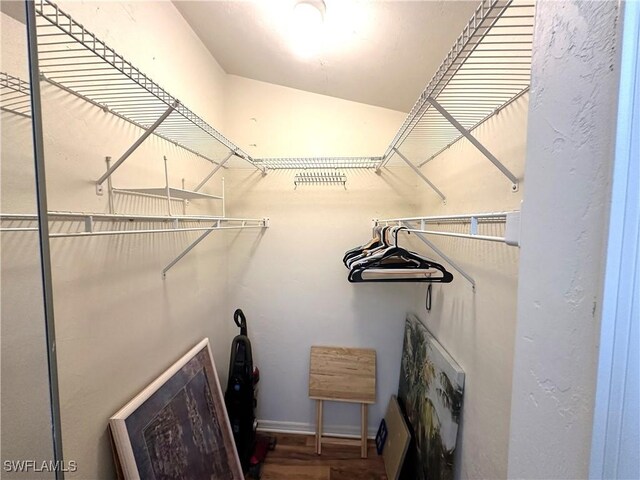 spacious closet featuring wood finished floors