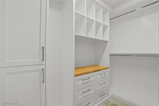 view of spacious closet