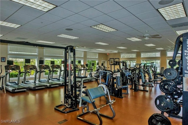 workout area featuring a healthy amount of sunlight, a paneled ceiling, and a ceiling fan