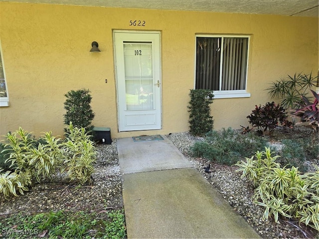 view of exterior entry featuring stucco siding