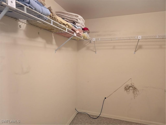 walk in closet featuring carpet floors