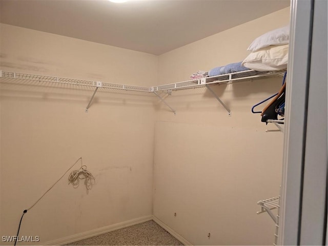 view of spacious closet