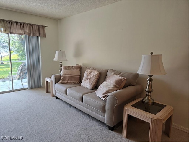 living area with carpet and a textured ceiling