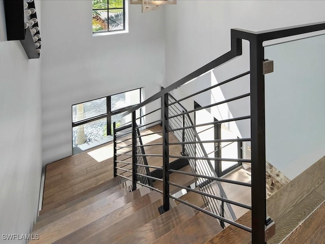 stairway featuring a high ceiling and wood finished floors