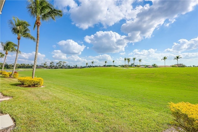 view of community featuring a lawn