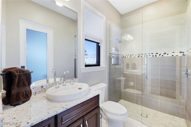 bathroom with a stall shower, toilet, and vanity