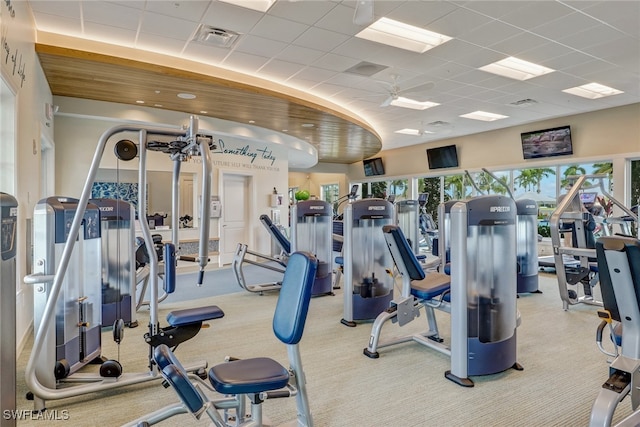 exercise room featuring visible vents, a drop ceiling, a ceiling fan, and carpet floors