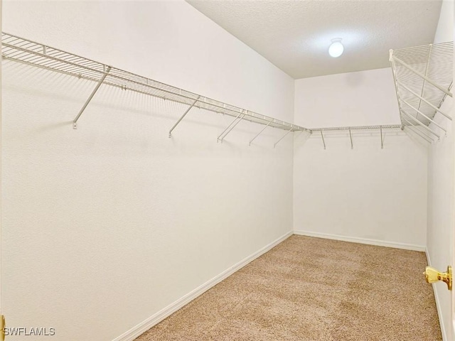 spacious closet featuring carpet floors