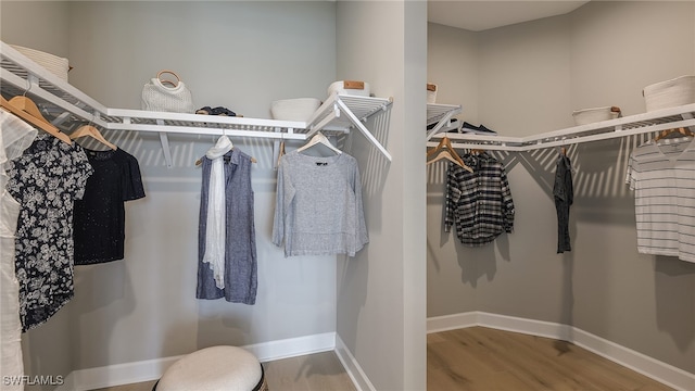 walk in closet featuring wood finished floors