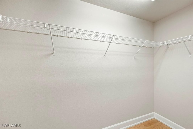 walk in closet featuring light wood finished floors