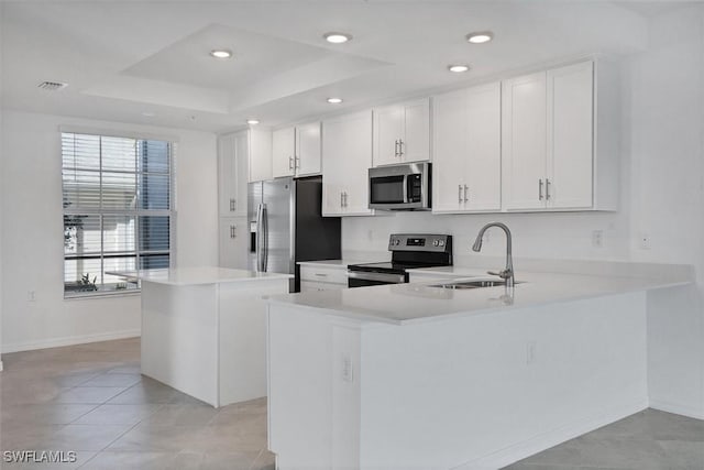 kitchen featuring a sink, a kitchen island, stainless steel appliances, light countertops, and a raised ceiling