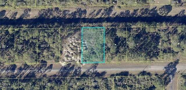 1123 Crocus St, Lehigh Acres FL, 33974 land for sale