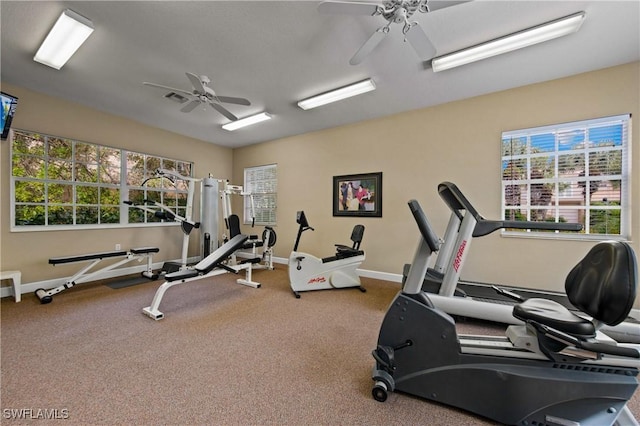 workout area with visible vents, baseboards, carpet, and a ceiling fan