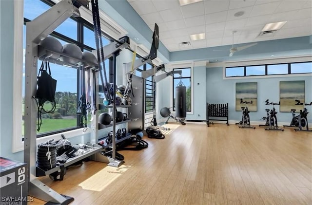 gym with wood finished floors, visible vents, a drop ceiling, and baseboards