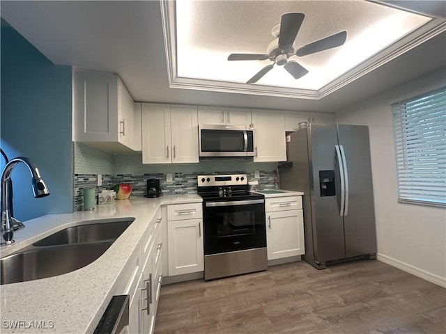 kitchen with wood finished floors, stainless steel appliances, a tray ceiling, and a sink