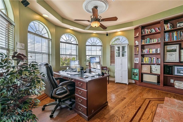 office featuring a raised ceiling, wood finished floors, and a ceiling fan