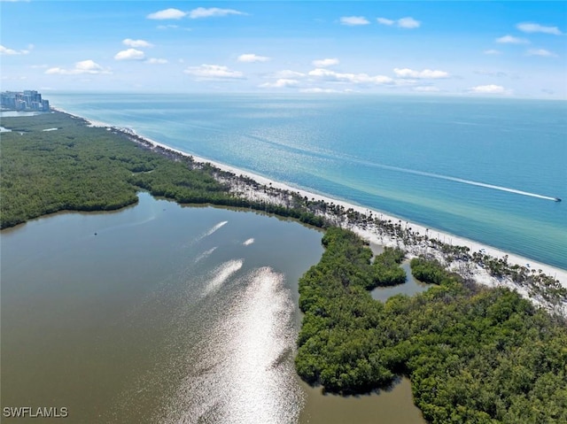 aerial view with a beach view and a water view