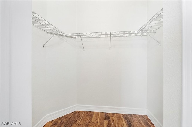 spacious closet featuring wood finished floors