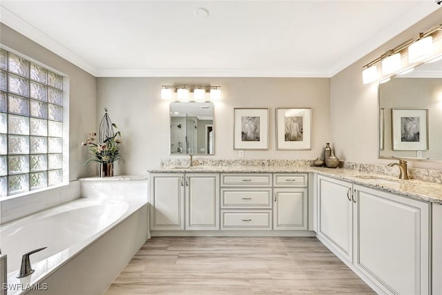 bathroom featuring a sink, a bath, double vanity, and ornamental molding