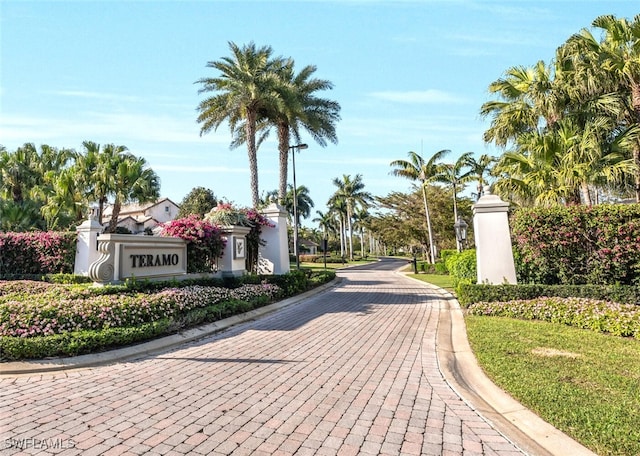 29115 W Teramo Way, Naples, FL 34110 - view of road featuring curbs and street lighting