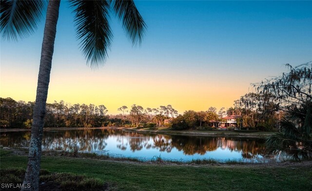 29115 W Teramo Way, Naples, FL 34110 - property view of water