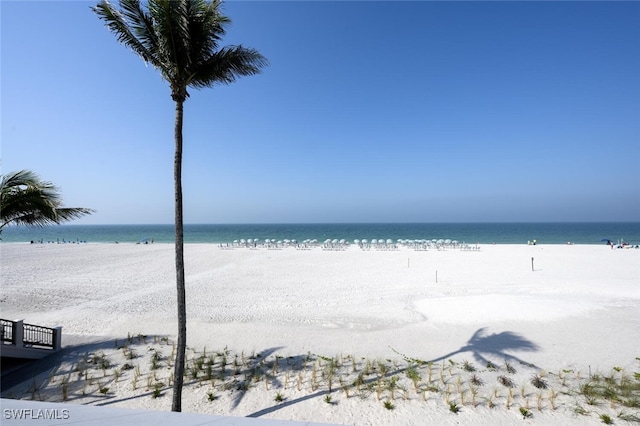 29115 W Teramo Way, Naples, FL 34110 - view of water feature featuring a view of the beach