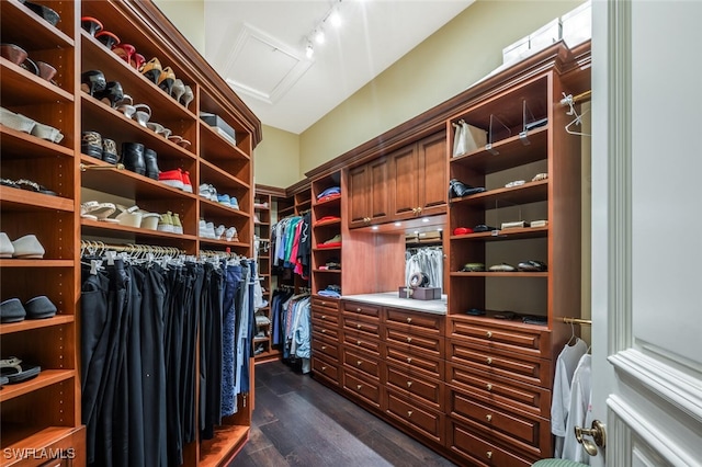 29115 W Teramo Way, Naples, FL 34110 - spacious closet featuring attic access and dark wood-style flooring