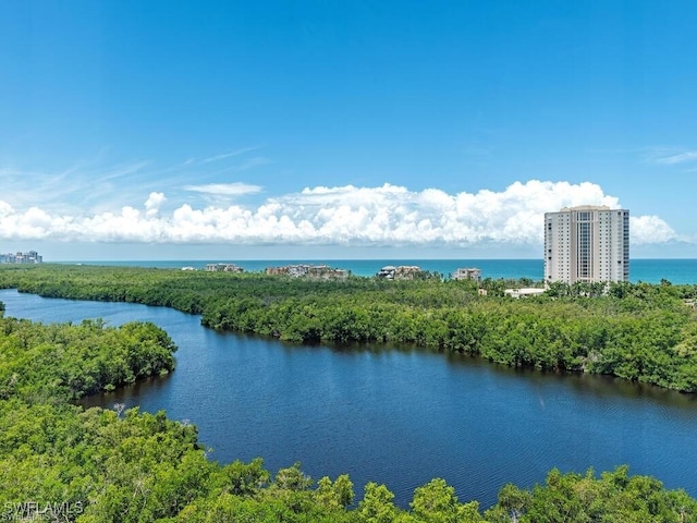 property view of water