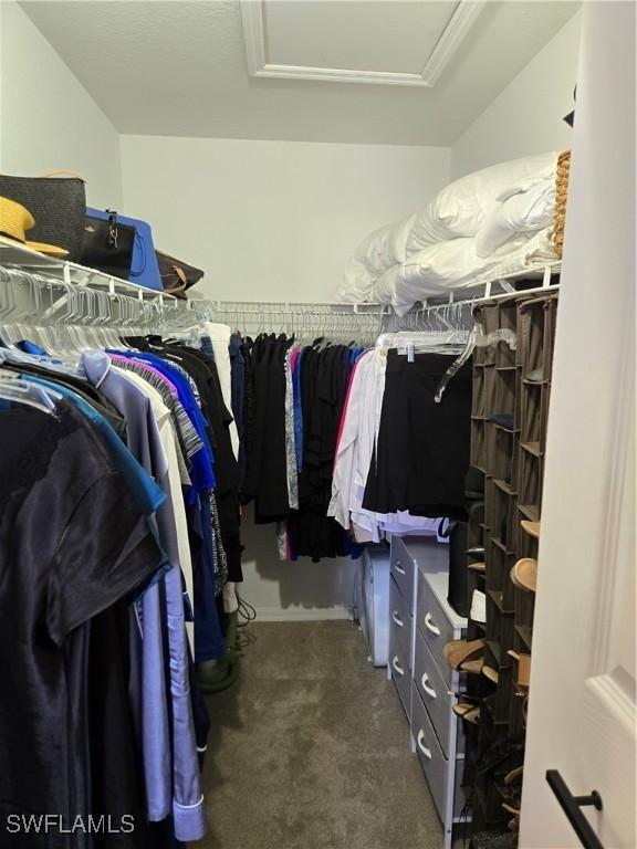 spacious closet with carpet floors and attic access